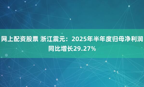 网上配资股票 浙江震元：2025年半年度归母净利润同比增长29.27%